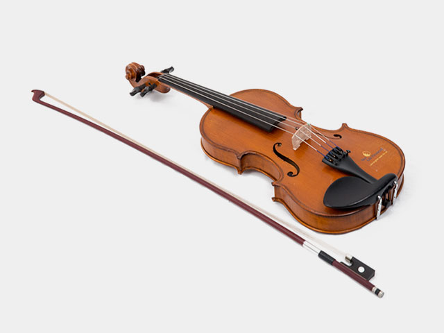 Violin